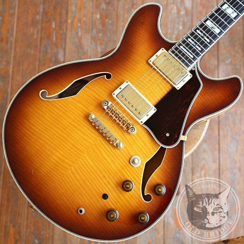 Chitarra elettrica usata