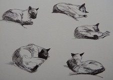 Disegno a penna e inchiostro