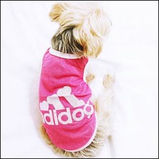 Maglia per cane chihuahua