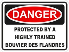 Bovaro Delle Fiandre Cane