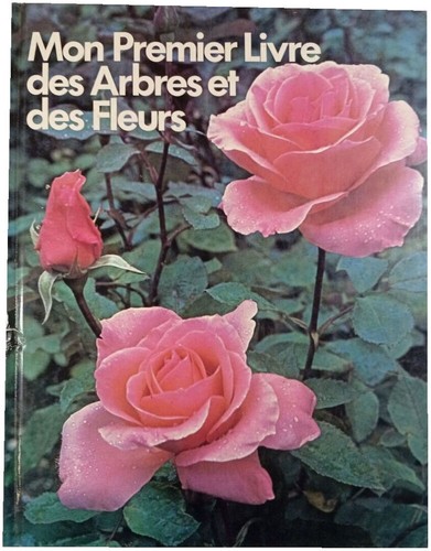 Mio primo libro alberi - il,