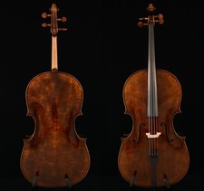 Favoloso violoncello suono - favoloso,