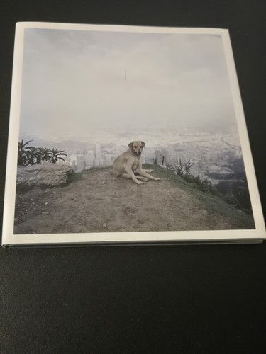 Alec soth dog days - soth,