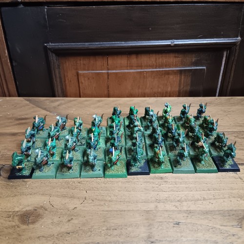 X46 reggimento guerrieri skink - reggimento,