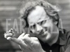 Foto vintage Regno Unito, Luton, Cinciarella, 1974, stampa 21x15 cm