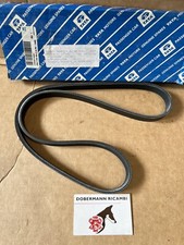 Cinghia 5PK 1095 *ORIGINALE* TATA Indica cod. 279023116309