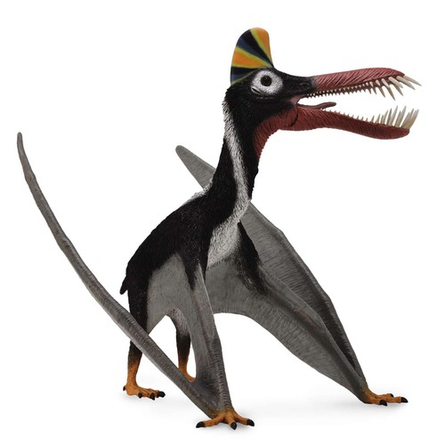 Collecta guidraco con - guidraco, (con