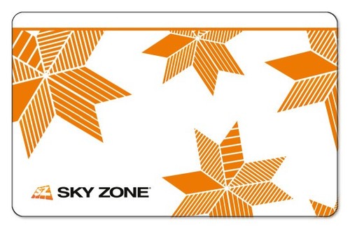 Sky zone gift card valore - card,