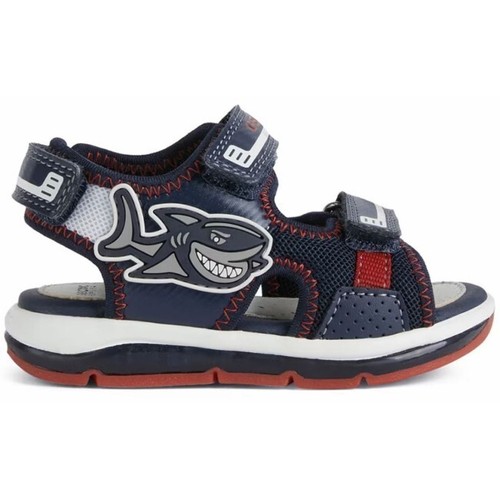 Geox todo boy - geox, b.s