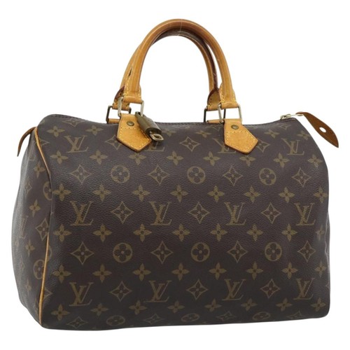 Louis vuitton monogram - louis,