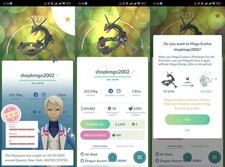 Pokémon Shundo Rayquaza Iv100