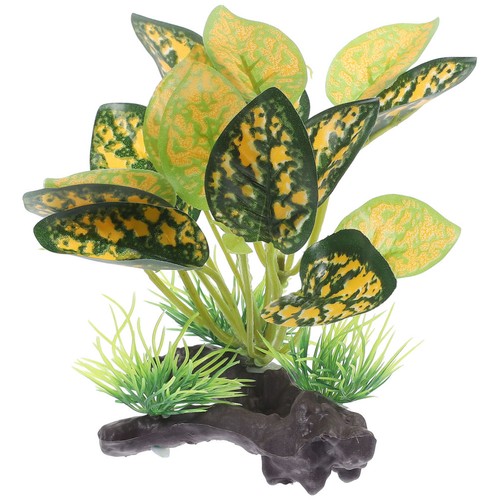 Piante per acquario di - piante,