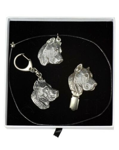 Dogo canario set - 2,