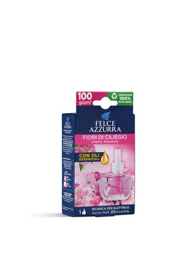 Felce azzurra diffusore - felce,