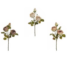 Ramo Rose Dry Look Autunno