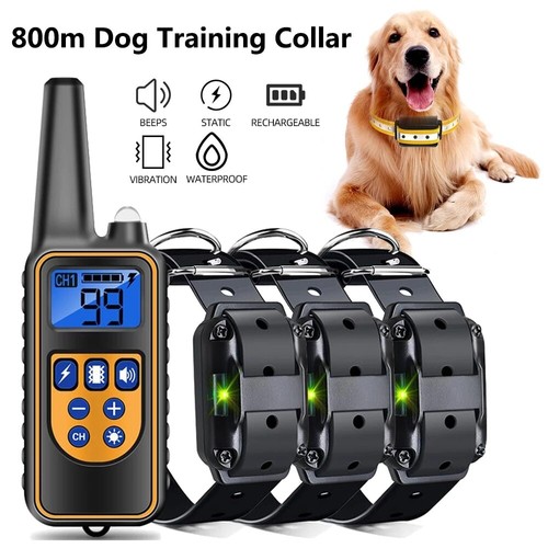 Collare telecomando 800m - collare,
