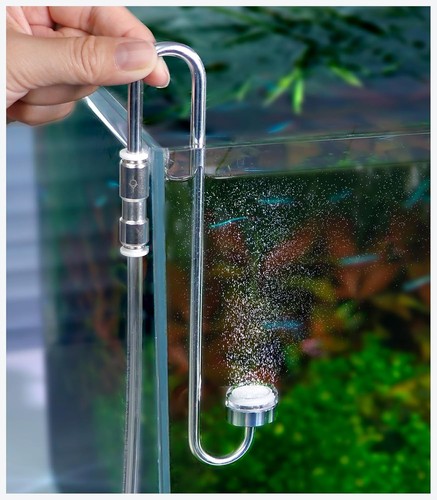 Atomizzatore diffusore co2 per - diffusore,