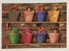  Ann Geddes, Neonati in