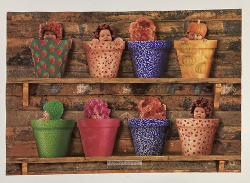 Ann geddes neonati in - ann, geddes,