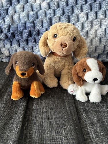 Pacchetto peluche keeleco - pacchetto,