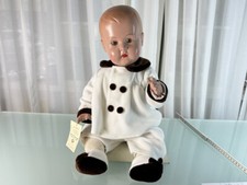 Tartaruga bambola da