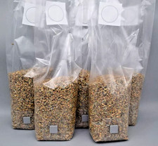 Substrato sterile per coltivazione funghi di grano biologico 5x1kg - con microfiltro e porta vaccinazione