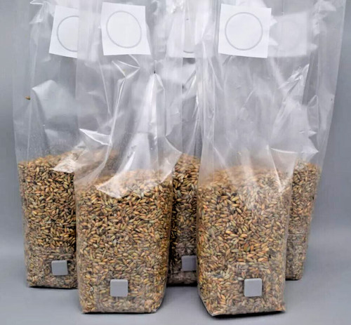 5x1 substrato grano - substrato, di
