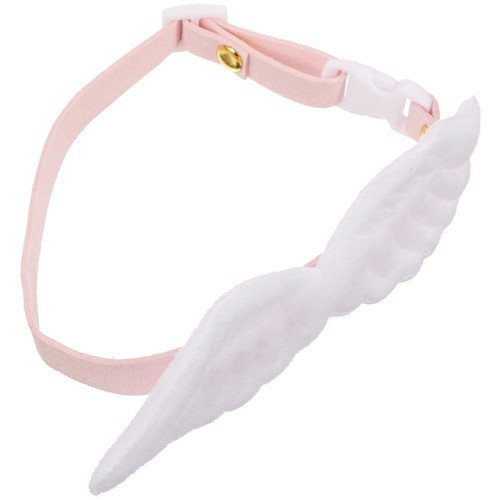 Accessori per cani - accessori,