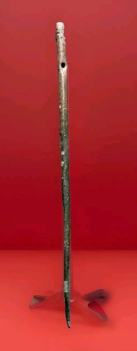 Ago gigante bronzo - , in