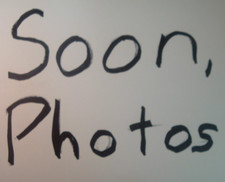 Regina Oro 13T-28T 6-Spd