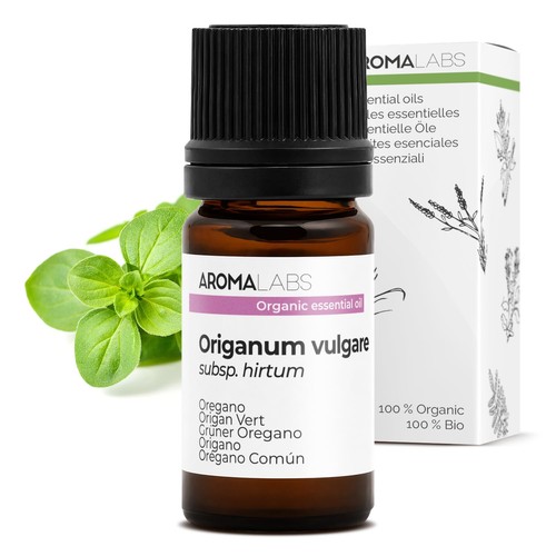 Origano verde bio origanum - origano,