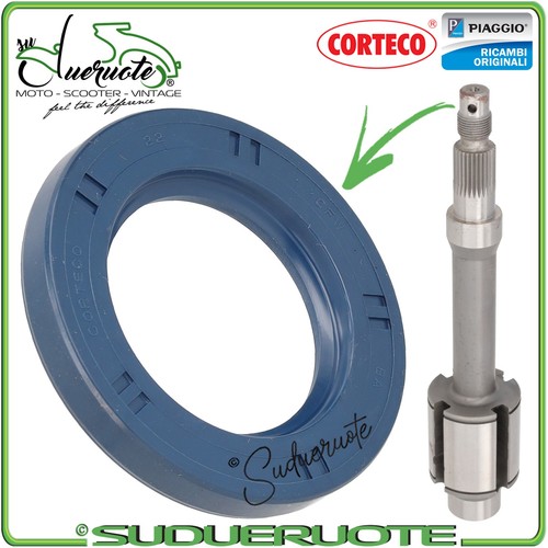 Paraolio carter tamburo - paraolio, ruota
