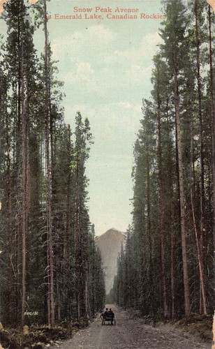 Cartolina b237 canada snow - cartolina,