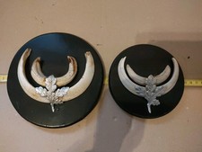 Trofeo Cinghiale Fauci