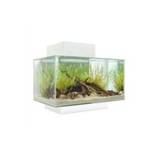 Fluval Edge 2.0 Acquario 23