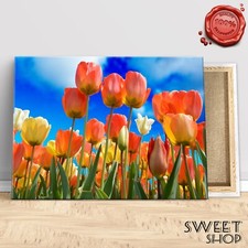 QUADRO MODERNO TULIPANI TULIP  Stampa su tela Canvas ARREDO QUALITA' ARTE