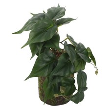  Piante Artificiali False