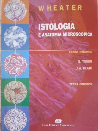 Wheater istologia anatomia - istologia, e