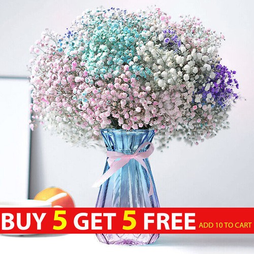 Fiore gypsophila - fiore,