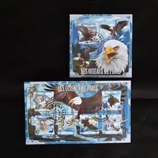 REINEALEX UCCELLI RAPACI 2