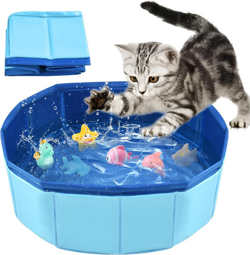 Piscina per gatti - per, gatti,