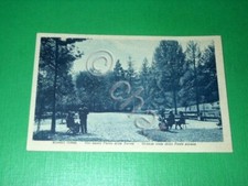 Cartolina Boario Terme - Nel nuovo Parco delle Terme - Viale Fonte Eximia 1946