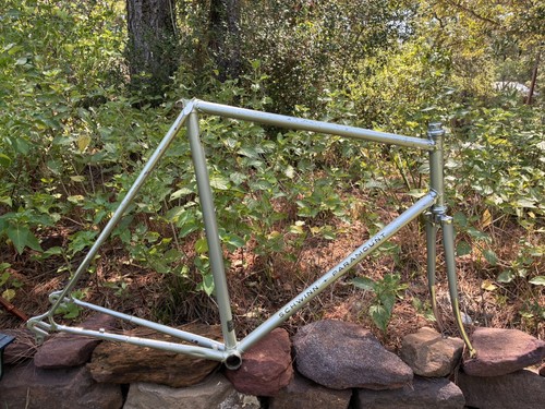 Schwinn paramount 13 - schwinn,