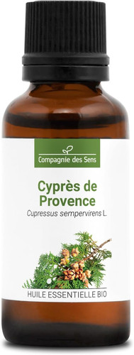 Cipresso provenza bio - provenza,