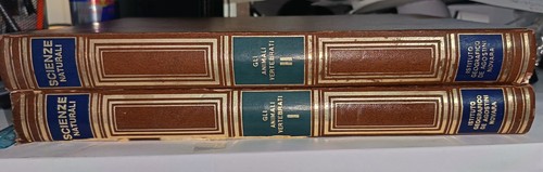 Enciclopedia italiana delle - enciclopedia,