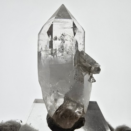 Scheletro fantasma quarzo