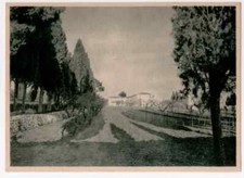  SAN GIOVANNI ROTONDO PADRE PIO SERENITA' OGRESTE NELL'INTERNO DEL CONVENTO