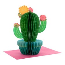 Biglietto 3D e Pop-Up Design Cactus a nido d'ape per qualsiasi occasione