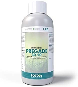 Bottos pregade per - bottos,