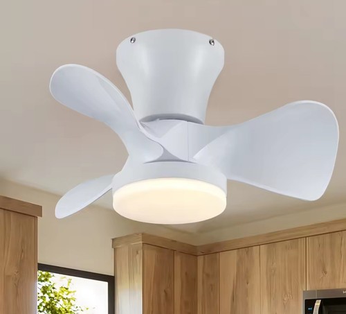 Ventilatore soffitto - da,